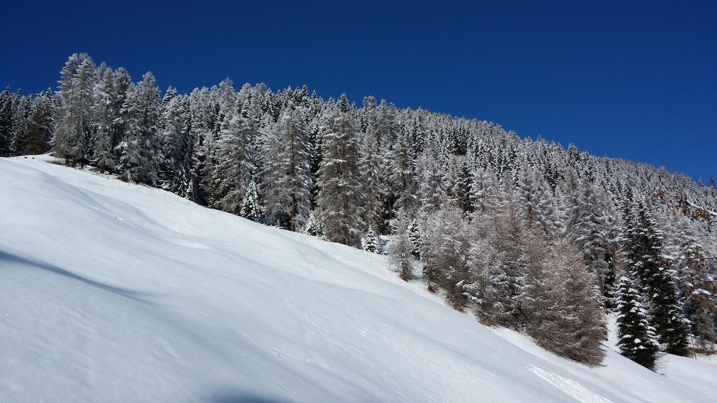 Ferienwohnung Gadenstatt Davos Kültér fotó