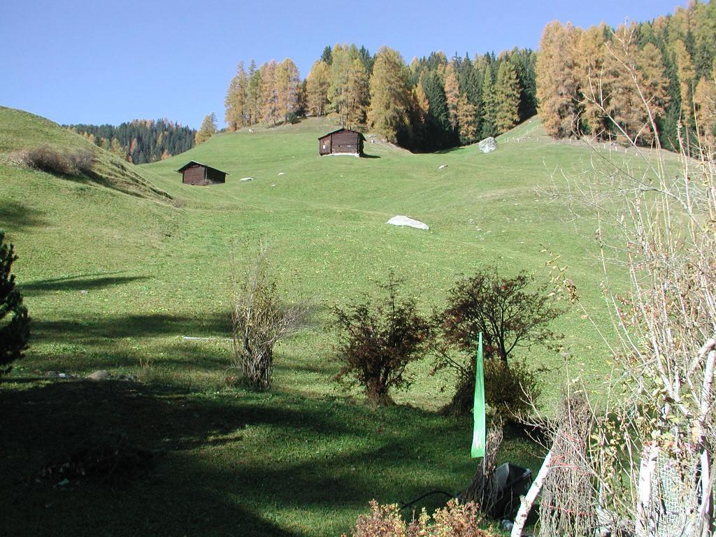 Ferienwohnung Gadenstatt Davos Kültér fotó